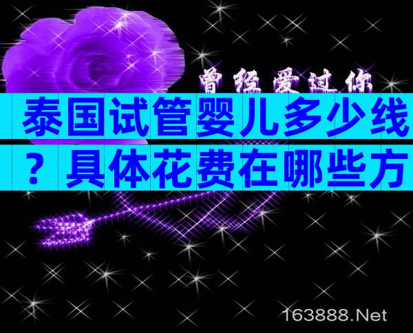 泰国试管婴儿多少线？具体花费在哪些方面？