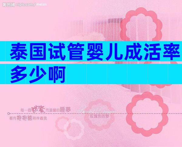 泰国试管婴儿成活率多少啊