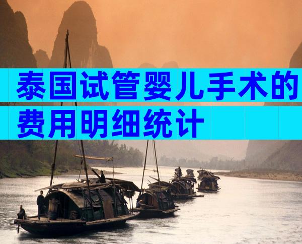 泰国试管婴儿手术的费用明细统计