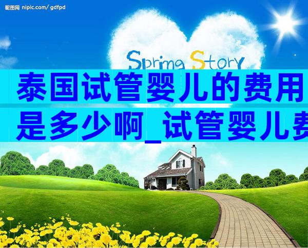 泰国试管婴儿的费用是多少啊_试管婴儿费用