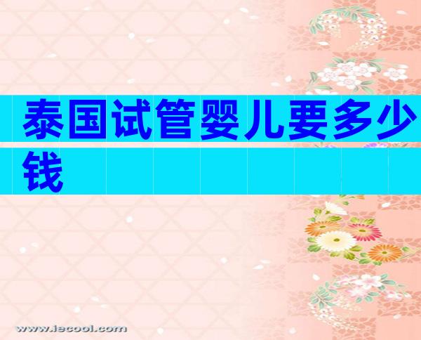 泰国试管婴儿要多少钱