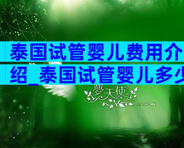 泰国试管婴儿费用介绍_泰国试管婴儿多少钱_爱优选