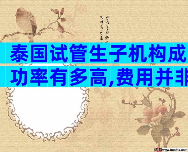 泰国试管生子机构成功率有多高,费用并非仅有参考标准