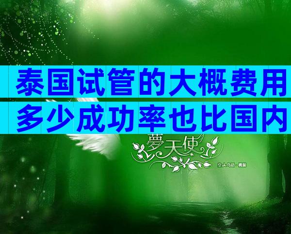 泰国试管的大概费用多少成功率也比国内高吗