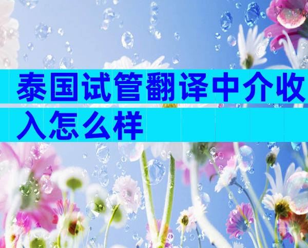 泰国试管翻译中介收入怎么样