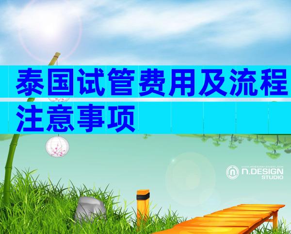 泰国试管费用及流程注意事项