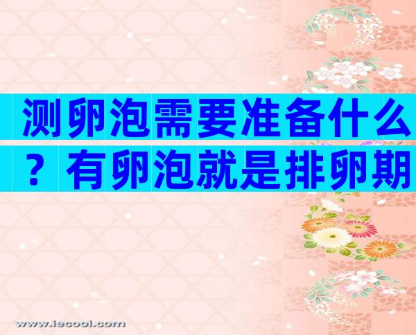 测卵泡需要准备什么？有卵泡就是排卵期吗？