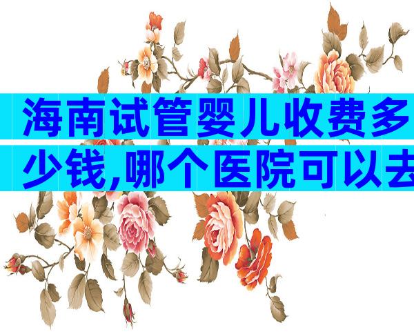 海南试管婴儿收费多少钱,哪个医院可以去