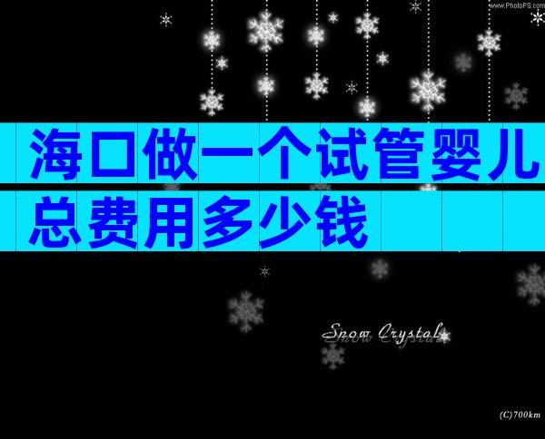 海口做一个试管婴儿总费用多少钱
