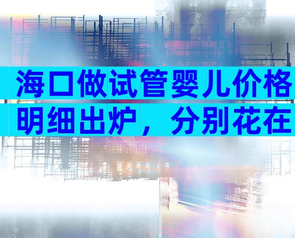 海口做试管婴儿价格明细出炉，分别花在哪？