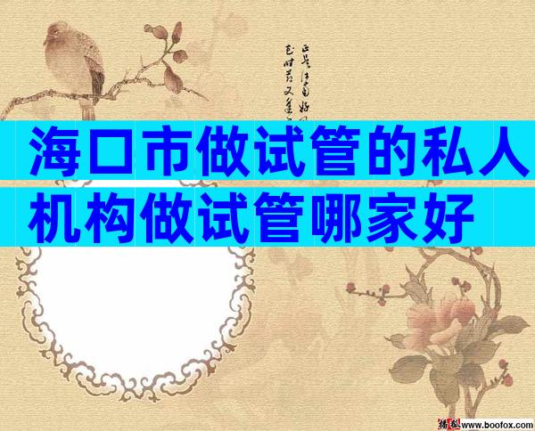 海口市做试管的私人机构做试管哪家好
