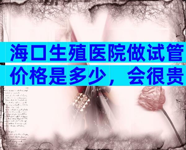 海口生殖医院做试管价格是多少，会很贵吗？