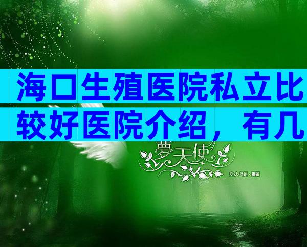 海口生殖医院私立比较好医院介绍，有几家可以做三代？