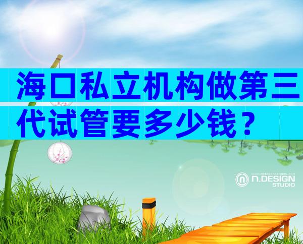 海口私立机构做第三代试管要多少钱？