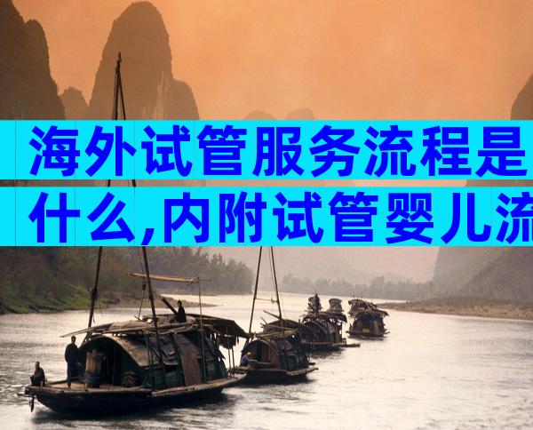 海外试管服务流程是什么,内附试管婴儿流程的六大步骤!