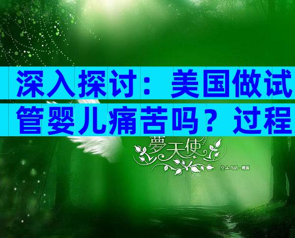深入探讨：美国做试管婴儿痛苦吗？过程如何进行？