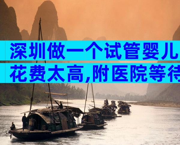 深圳做一个试管婴儿花费太高,附医院等待时间