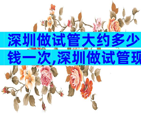 深圳做试管大约多少钱一次,深圳做试管现在多少钱啊