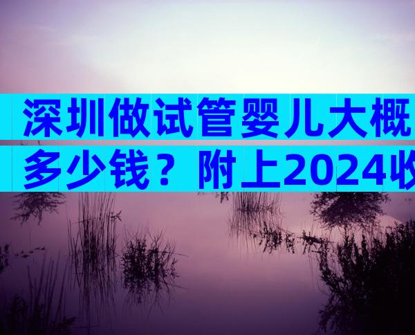 深圳做试管婴儿大概多少钱？附上2024收费标准