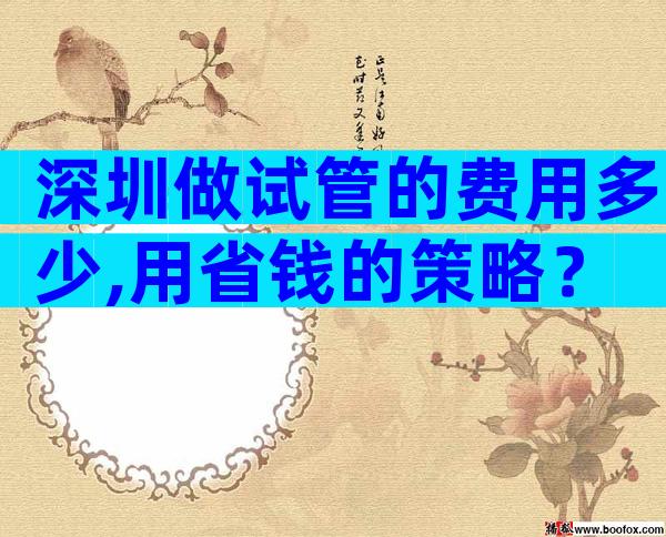 深圳做试管的费用多少,用省钱的策略？