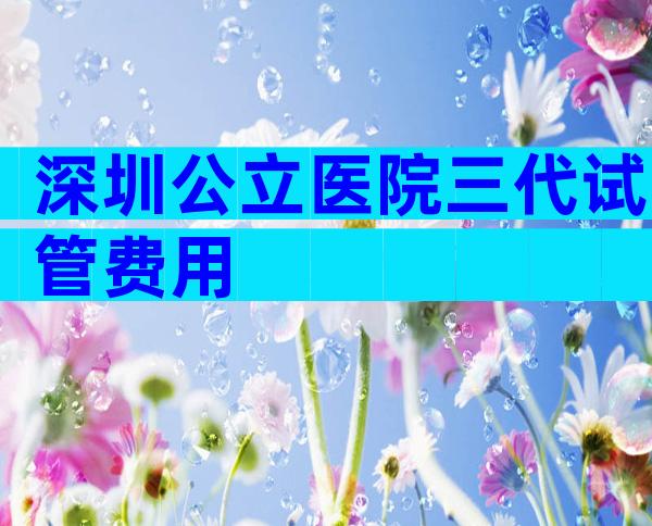 深圳公立医院三代试管费用