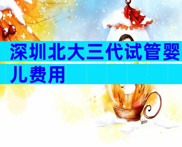 深圳北大三代试管婴儿费用