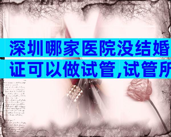 深圳哪家医院没结婚证可以做试管,试管所需证件资料