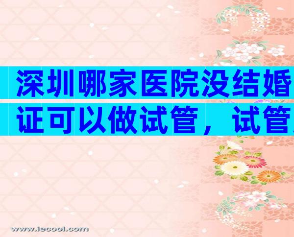 深圳哪家医院没结婚证可以做试管，试管所需证件资料