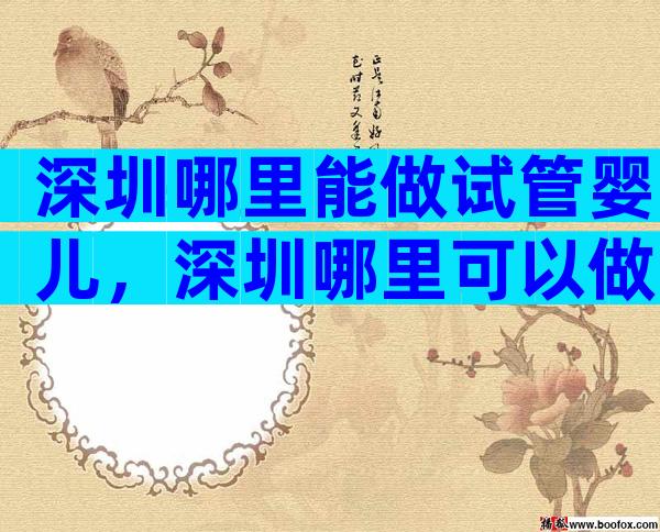 深圳哪里能做试管婴儿，深圳哪里可以做试管