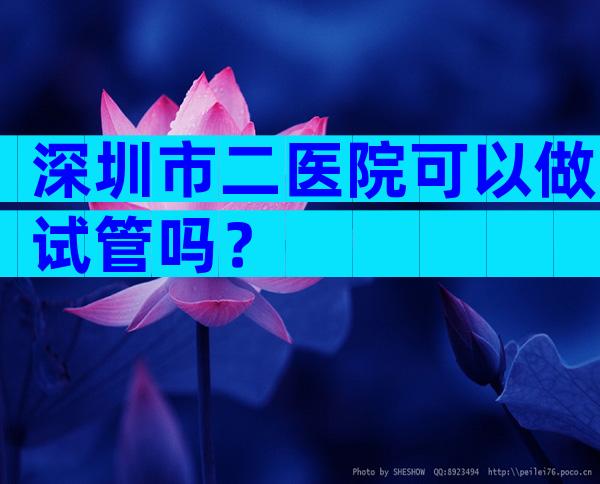 深圳市二医院可以做试管吗？