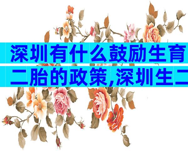 深圳有什么鼓励生育二胎的政策,深圳生二胎奖励政策