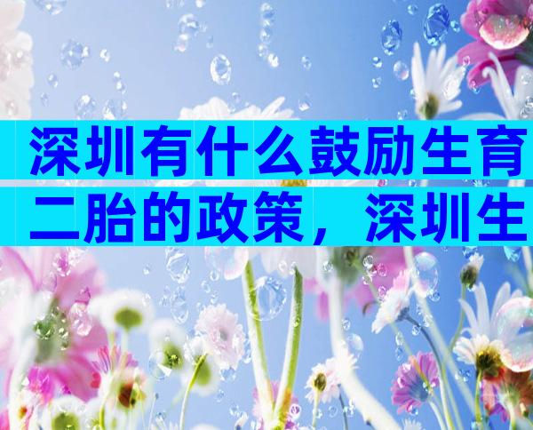 深圳有什么鼓励生育二胎的政策，深圳生二胎奖励政策