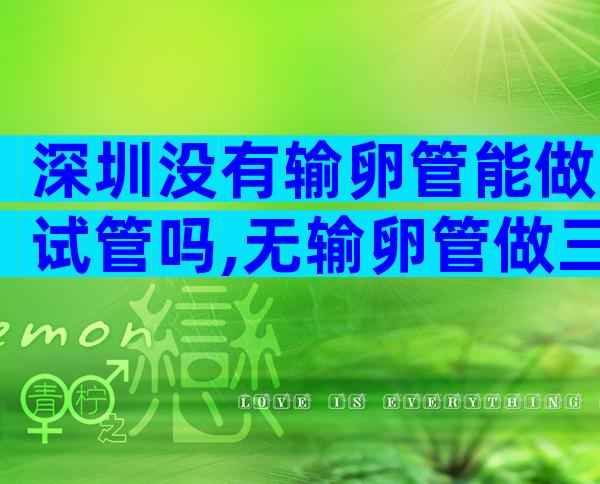 深圳没有输卵管能做试管吗,无输卵管做三代试管的合适方案