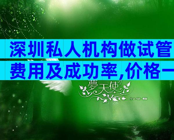 深圳私人机构做试管费用及成功率,价格一目了然
