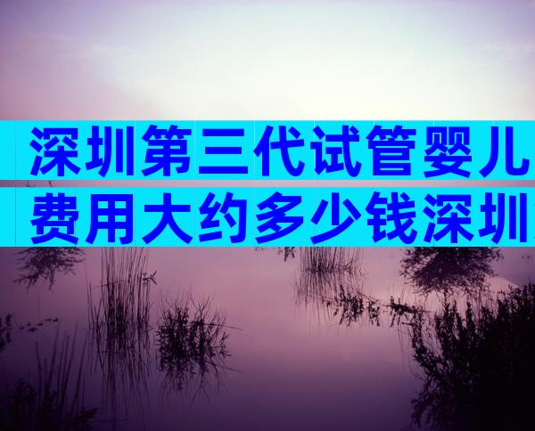 深圳第三代试管婴儿费用大约多少钱深圳第三代试管婴儿费用