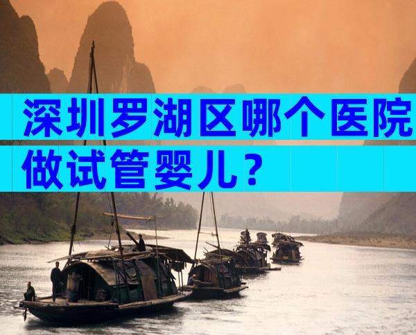 深圳罗湖区哪个医院做试管婴儿？