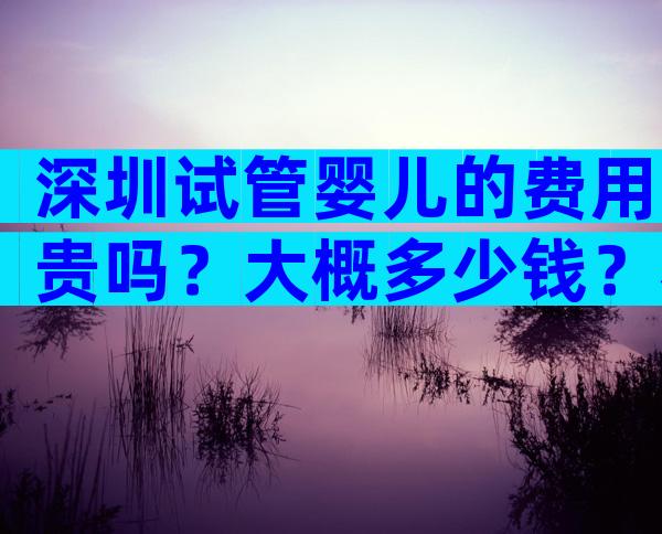 深圳试管婴儿的费用贵吗？大概多少钱？看看你能接受吗？