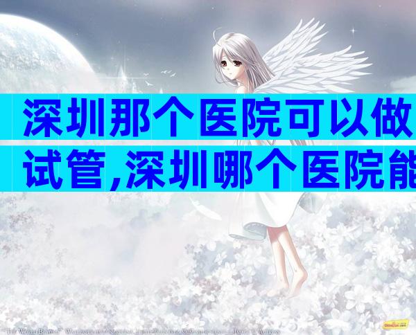 深圳那个医院可以做试管,深圳哪个医院能做试管婴儿