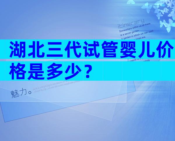 湖北三代试管婴儿价格是多少？