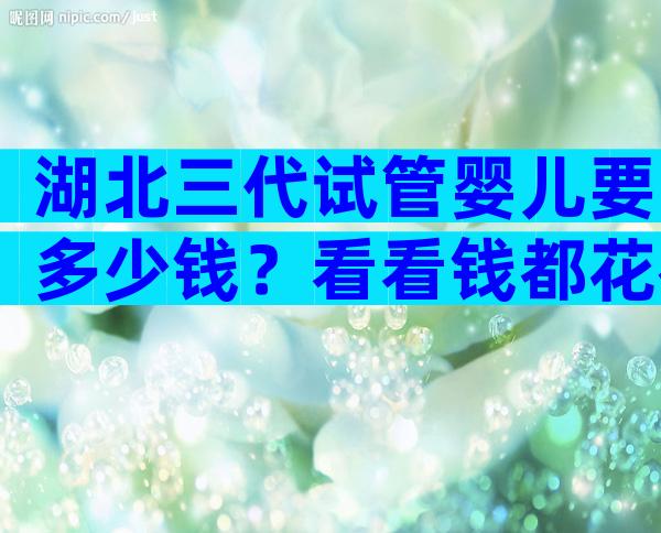 湖北三代试管婴儿要多少钱？看看钱都花在哪里