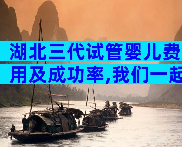 湖北三代试管婴儿费用及成功率,我们一起来看看