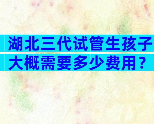 湖北三代试管生孩子大概需要多少费用？