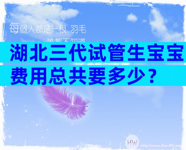 湖北三代试管生宝宝费用总共要多少？