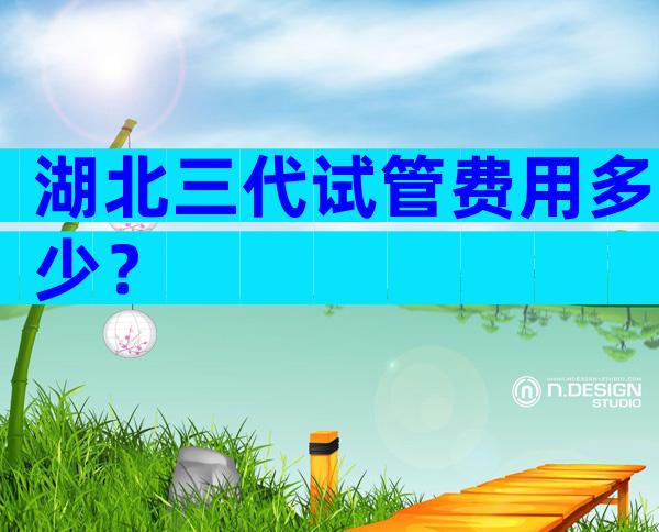 湖北三代试管费用多少？