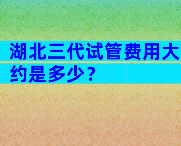 湖北三代试管费用大约是多少？