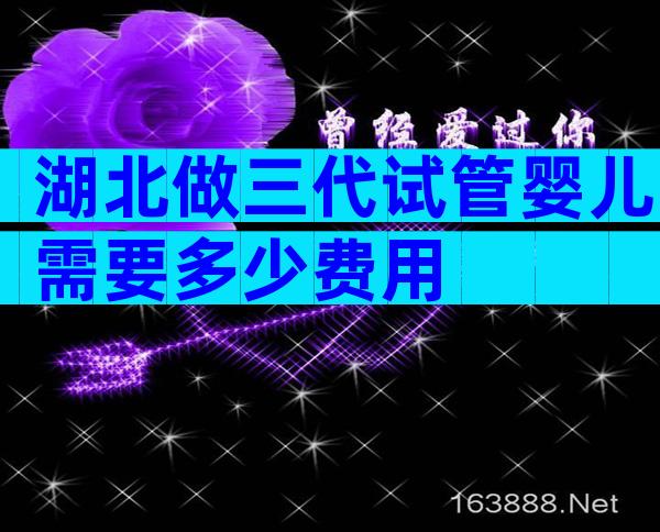 湖北做三代试管婴儿需要多少费用