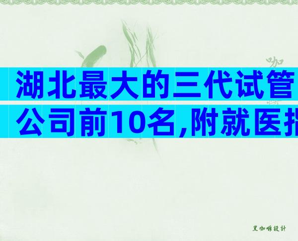 湖北最大的三代试管公司前10名,附就医指南