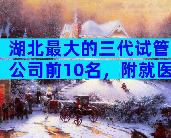 湖北最大的三代试管公司前10名，附就医指南
