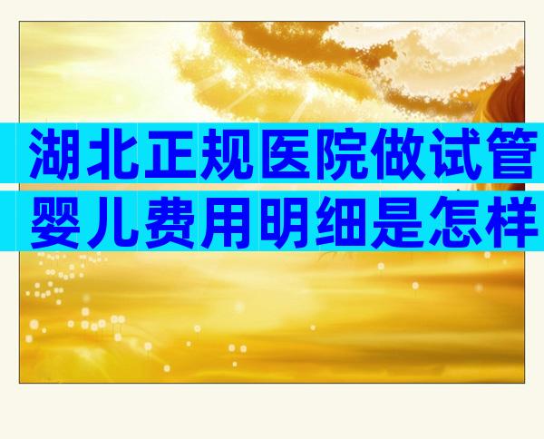 湖北正规医院做试管婴儿费用明细是怎样的