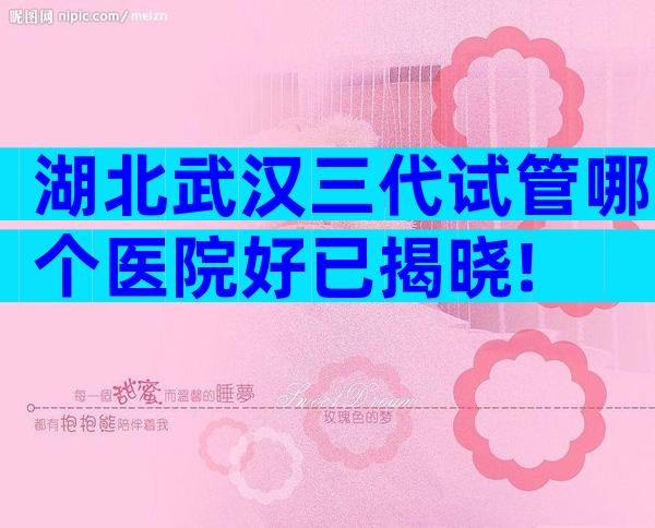 湖北武汉三代试管哪个医院好已揭晓!